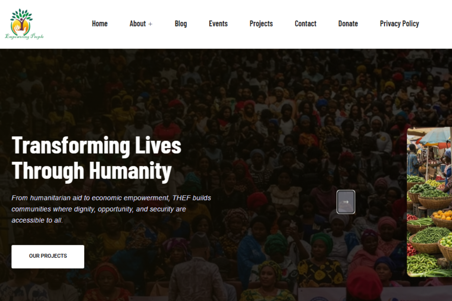 THEF Nonprofit by Nova Limited - Website Developer in Lagos, Nigeria